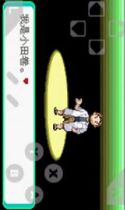 口袋妖怪聖杯戰爭 口袋妖怪聖杯戰爭