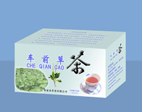 （圖）車前草茶