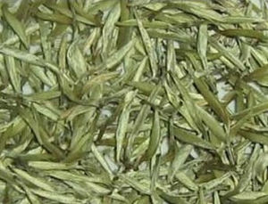 溈山白毛尖 溈山白毛尖