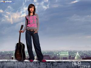 溫室花朵 溫室花朵