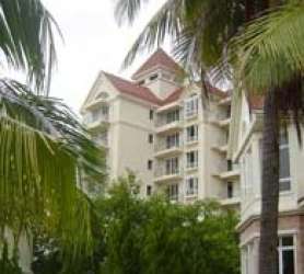 半山綠地 半山綠地