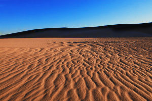 居延海沙地 居延海沙地