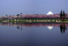 鳳凰湖[四川省成都市鳳凰湖]