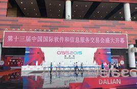 第13屆中國軟交會 第13屆中國軟交會