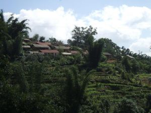 布西林自然村 布西林自然村