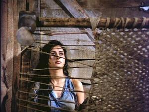 普拉姆&middot;達倫