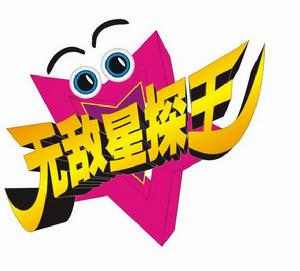 冉婷曾主持節目