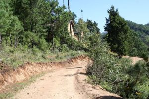 青岩坪自然村 青岩坪自然村