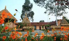 黃龍旱田 黃龍旱田