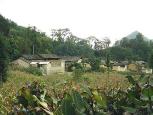 山街自然村 山街自然村