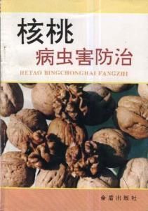 核桃病蟲害防治