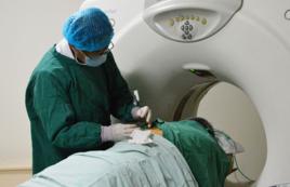 乳腺外科 乳腺外科