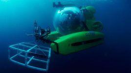 西爾維婭·艾爾 西爾維婭·艾爾