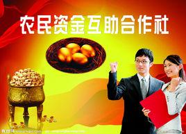 農民資金互助合作社 農民資金互助合作社