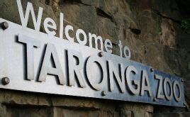 塔瑞噶野生動物園 塔瑞噶野生動物園