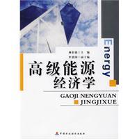 高級能源經濟學 高級能源經濟學