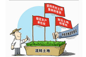 土地政策 土地政策