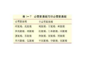 必需胺基酸 必需胺基酸