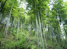 浙江省長興縣水口鄉