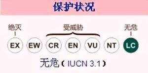 保護狀況