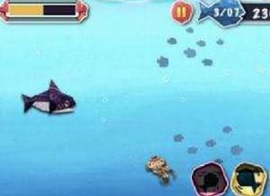 小小鯨魚 小小鯨魚