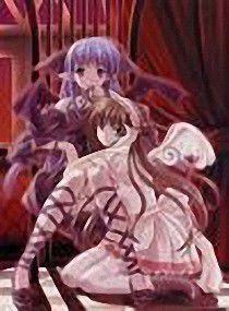 吸血鬼騎士之緋瞳純血君