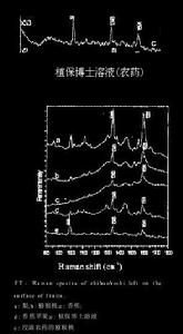 （圖）不同種類的水果表面滴加植保博士後得到的拉曼譜