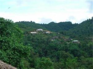 帕牙自然村 帕牙自然村