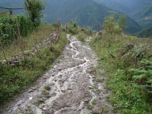 新生自然村 新生自然村