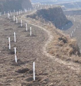 臥牛坪流域 臥牛坪流域
