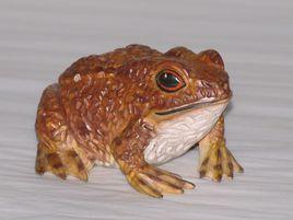 木雕金蟾 木雕金蟾