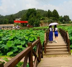 蓮花博覽園 蓮花博覽園