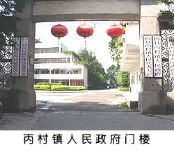 丙村鎮政府