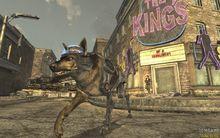 輻射：新維加斯