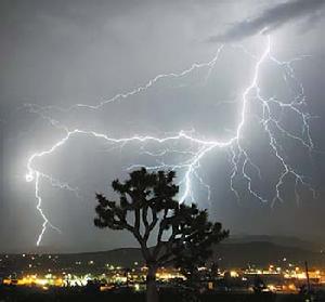 厄爾尼諾年 厄爾尼諾年