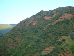 諾鄧五村 諾鄧五村