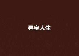 尋寶人生 尋寶人生