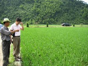 橫山村[浙江省杭州市桐廬縣富春江鎮橫山村]