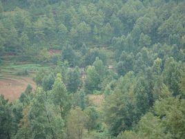 石牆自然村 石牆自然村