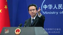 外交部發言人洪磊回應東突赴敘參戰