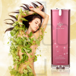 家芙納恬靜 家芙納恬靜