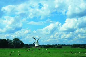 （圖）陸地地形