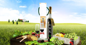 愛爾思酵素 愛爾思酵素