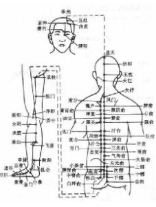 人體經絡 人體經絡