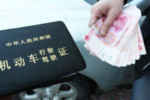 殭屍駕照 殭屍駕照