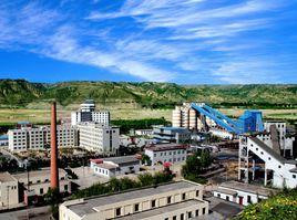 有限責任 有限責任