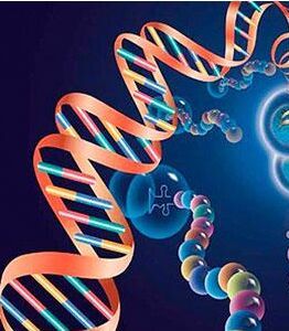 基因標靶療法 基因標靶療法