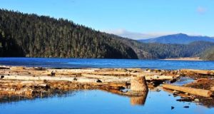 碧塔海濕地 碧塔海濕地