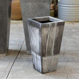 泛鹼現象 泛鹼現象