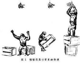 認知理論 認知理論